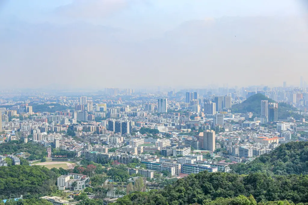 湖北省丽来春科技有限公司鲜切花产品规格与保鲜技术详解