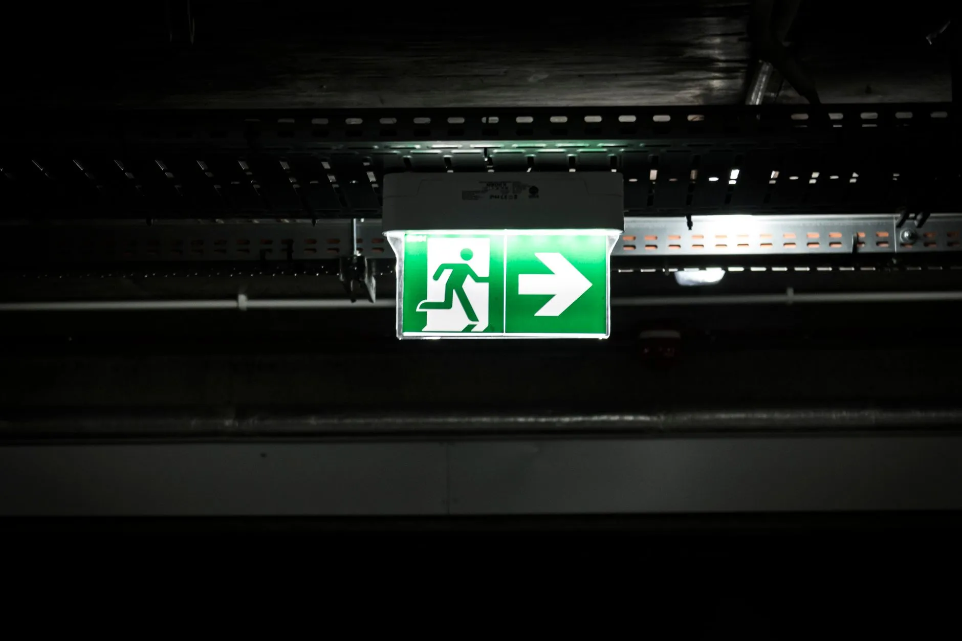 华中地区婚庆用花方案设计：鲜切花与盆栽植物搭配案例
