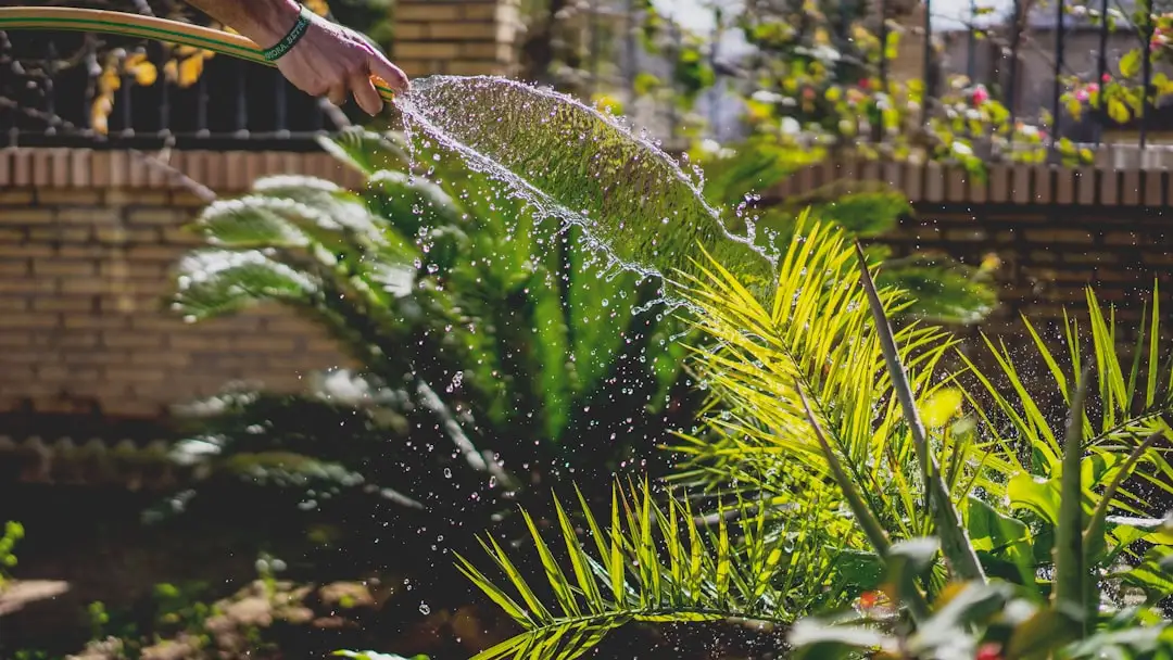 花卉种植土壤改良与营养管理关键技术要点