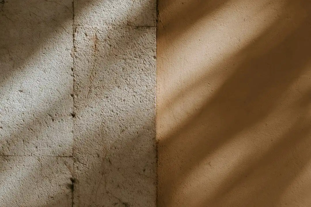 鲜切花采后处理技术解析：如何延长花店鲜花瓶插期的关键环节